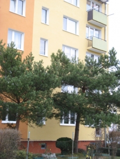 Gdynia, ul. Wejherowska 34-41_7