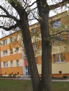 Salzgitter, Niemcy_2